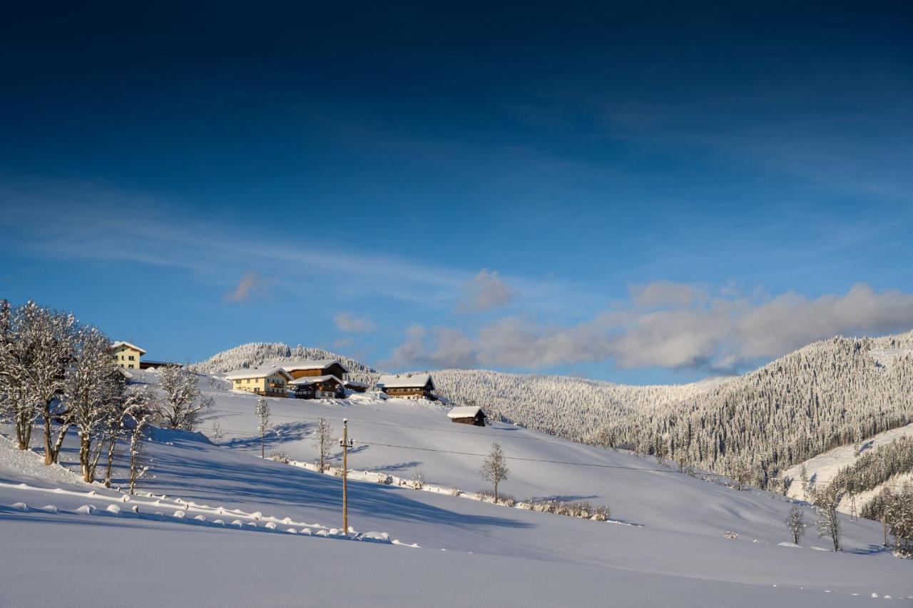Отель Parchenbauernhof Horner Флахау Экстерьер фото